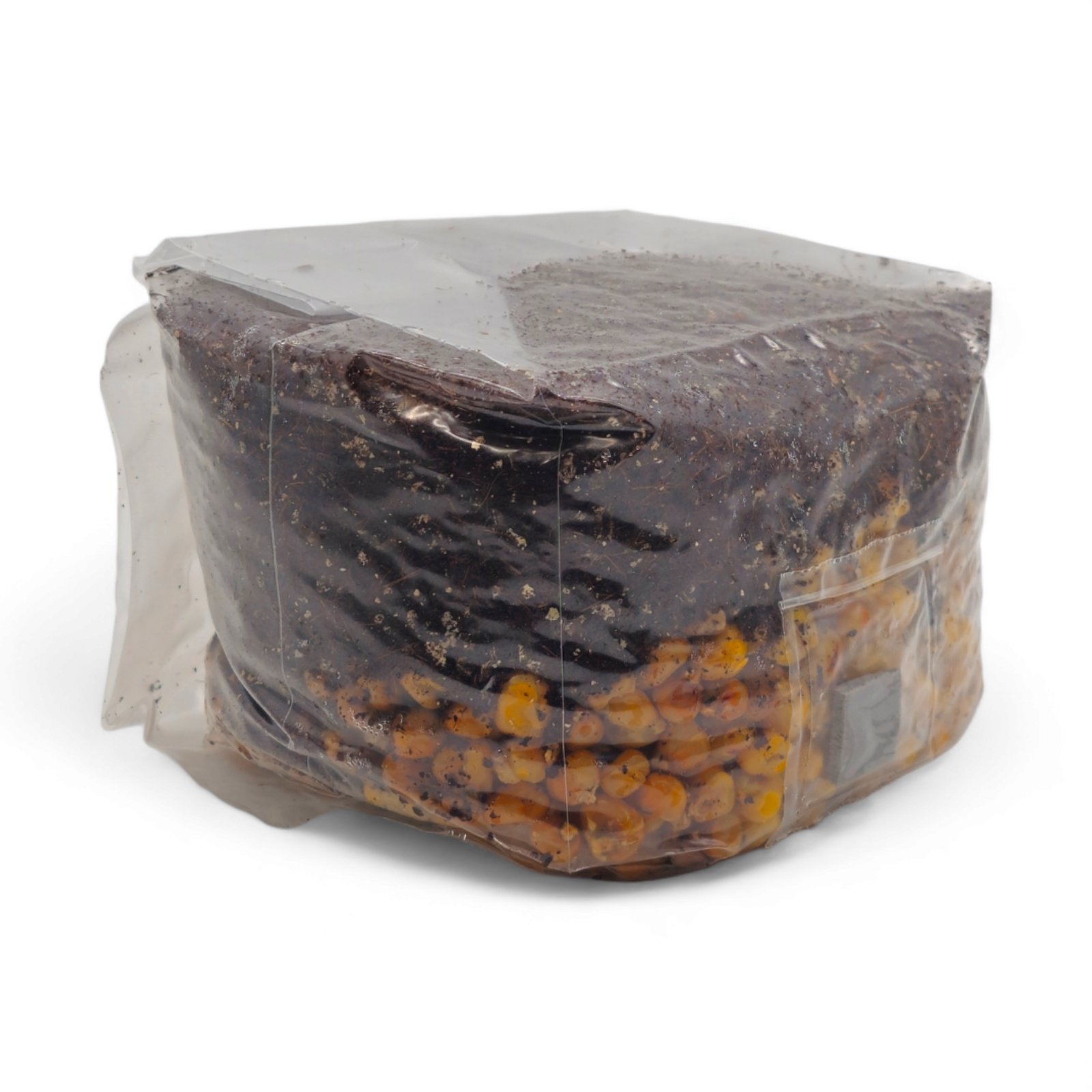 Acquista la Borsa per la Coltivazione Tutto in Uno dei Funghi