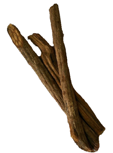  Banisteriopsis Caapi Trueno, shredded