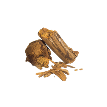 Ayahuasca Red Brazil | Banisteriopsis caapi | 50 grammi