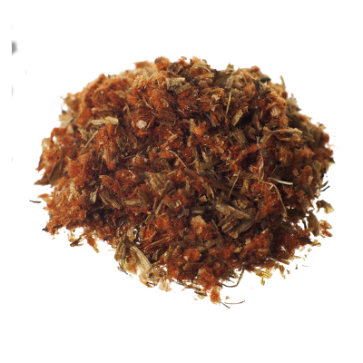 Wild Dagga | Leonotis leonurus | 5 grammi