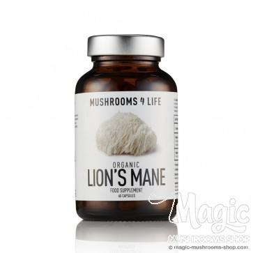  Lion’s Mane Hericium erinaceus Capsules 