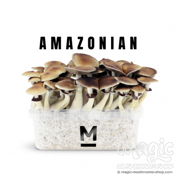 Amazonian PES | Flush