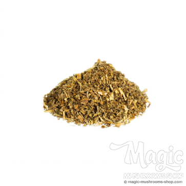 Wormwood (Artemisia absinthium) Raw