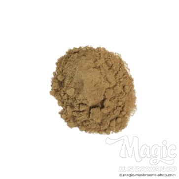 Maconha Brava Zornia Latifolia | Estratto 25x