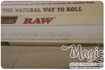 Detail Raw Hemp Papers  