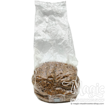 Sterile Millet Spawn Bag 