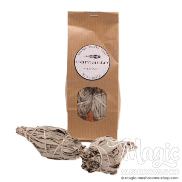 White Sage Smudge sticks