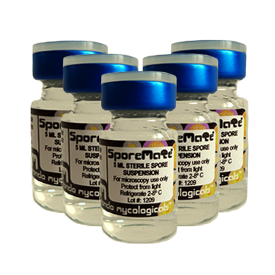 Offre Spéciale de Spores Cubensis
