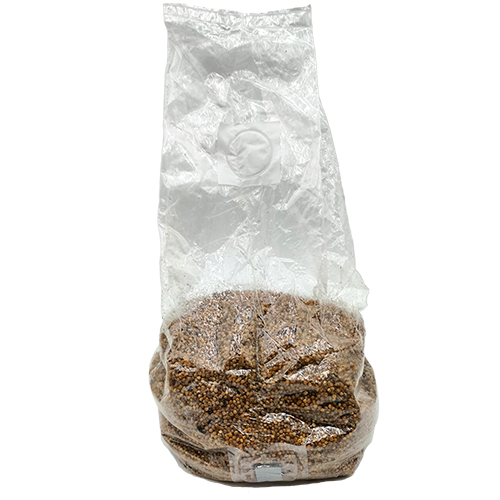 Sterile Millet Spawn Bag 