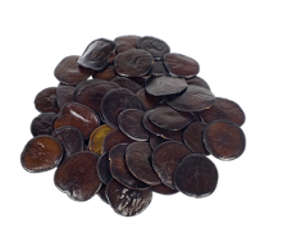 Yopo seeds | Anadenanthera peregrina Yopo seeds | Anadenanthera peregrina