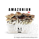 Mondo® kit di coltivazione PES Amazonian XL