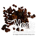 Tartufi Magici Mexicana | 15 grammi
