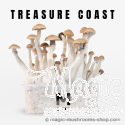 Mondo® kit di coltivazione Treasure Coast