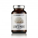 Lion's Mane capsule | Hericium erinaceus | 60 capsule