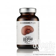 Capsule di Funghi Reishi Ganoderma Lucidum | Mushrooms4life