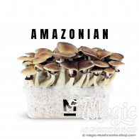 Mondo® kit di coltivazione PES Amazon