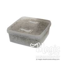 GetMagic Thai XL Growkit