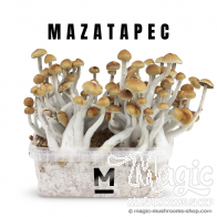 Mondo® kit di coltivazione Mazatapec