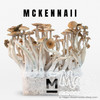 Mondo® kit di coltivazione McKennaii