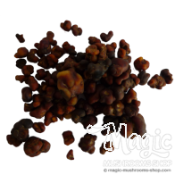 Tartufi Magici Mexicana | 15 grammi