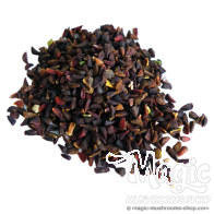 Semi di ruta siriana | Peganum harmala | 10 grammi 
