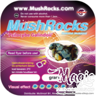 Tartufi Magici Galindoii 'Mushrocks' | 15 grammi
