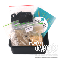 Kit per la coltivazione del cactus San Pedro