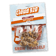 Hollandia Tartufi | 15 grammi