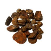 Noce di Cola | Cola nitida