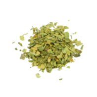 Ginkgo | Ginkgo biloba