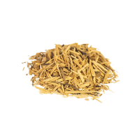 Muira Puama | Ptychopetalum olacoides