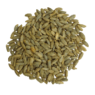 Segale Biologica | Substrato in Grano Sfuso 1 kg