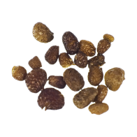 Semi di Mapacho | Nicotiana rustica | 20 semi