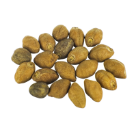 Semi di Ololiuqui | Rivea corymbosa | 20 semi
