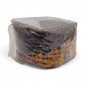 All-in-one Mushroom Grow Bag
