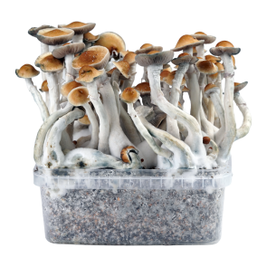 2100cc Amazonian PES Grow kit