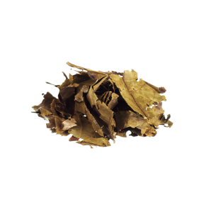  Chaliponga | Diplopterys cabrerana 