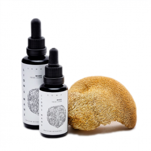 Criniera di Leone tintura di fungo | Hericium erinaceus | KÄÄPÄ Health