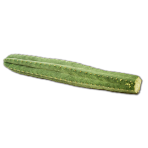 San Pedro Cutting