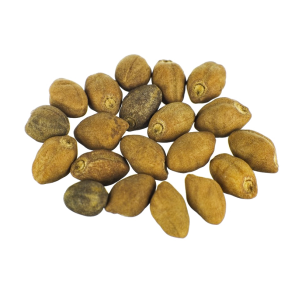Ololiuqui (Rivea corymbosa) seeds