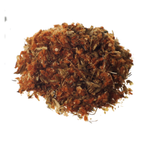 Wild Dagga | Leonotis leonurus | 5 grammi