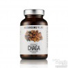 Photo Funghi Chaga (Inonotus Obliquus) in capsule | Mushrooms4life
