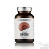 Photo Capsule di Funghi Reishi Ganoderma Lucidum | Mushrooms4life