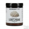 Photo Lion's Mane polvere | Mushrooms4life 