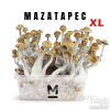 Photo Mondo® kit di coltivazione Mazatapec XL