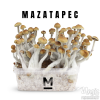 Photo Mondo® kit di coltivazione Mazatapec