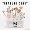 Photo Mondo® kit di coltivazione Treasure Coast