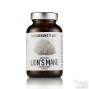 Capsule di criniera di leone | Mushrooms4life