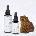 Tintura di funghi Chaga - Estratto di Inonotus obliquus | KÄÄPÄ Salute 