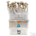 Magic Mushroom Pacchetto Combinato | 3x kit